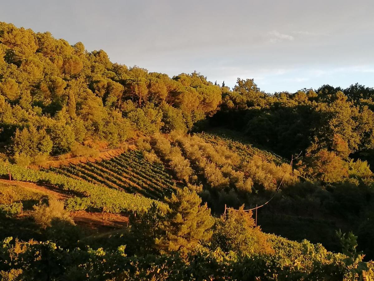 Agriturismo Poggio All'Olmo Villa เกรเว อิน เคียนตี ภายนอก รูปภาพ