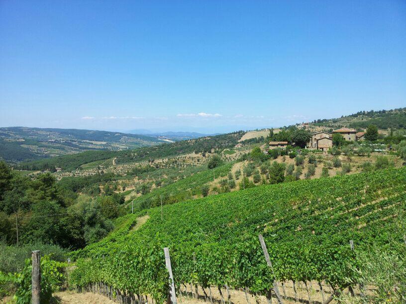 Agriturismo Poggio All'Olmo Villa เกรเว อิน เคียนตี ภายนอก รูปภาพ