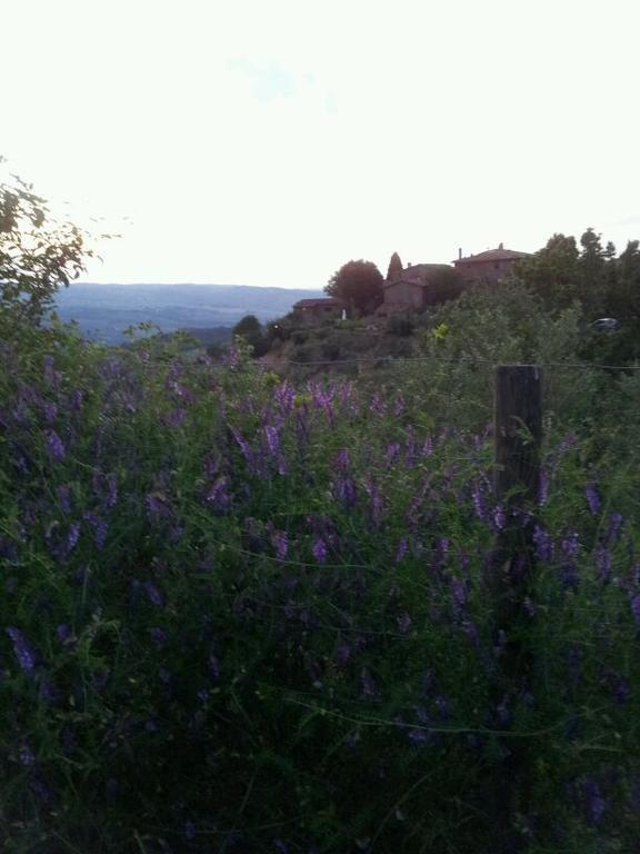 Agriturismo Poggio All'Olmo Villa เกรเว อิน เคียนตี ภายนอก รูปภาพ