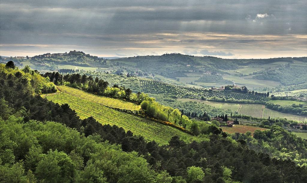 Agriturismo Poggio All'Olmo Villa เกรเว อิน เคียนตี ภายนอก รูปภาพ