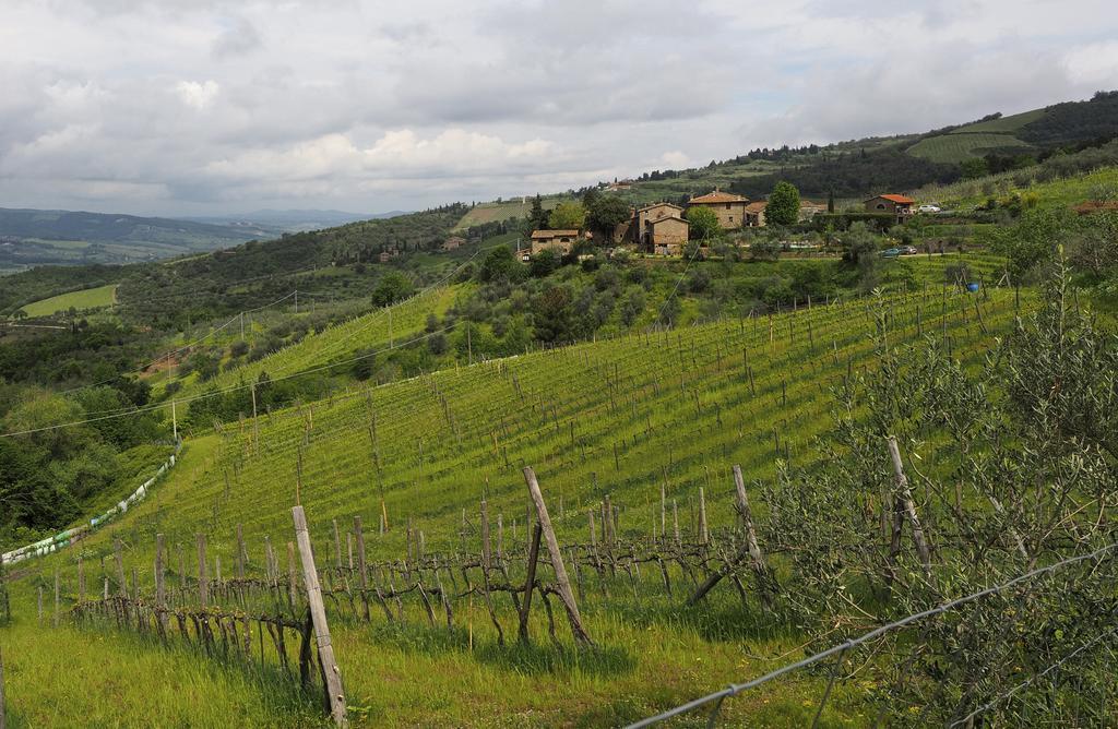 Agriturismo Poggio All'Olmo Villa เกรเว อิน เคียนตี ภายนอก รูปภาพ