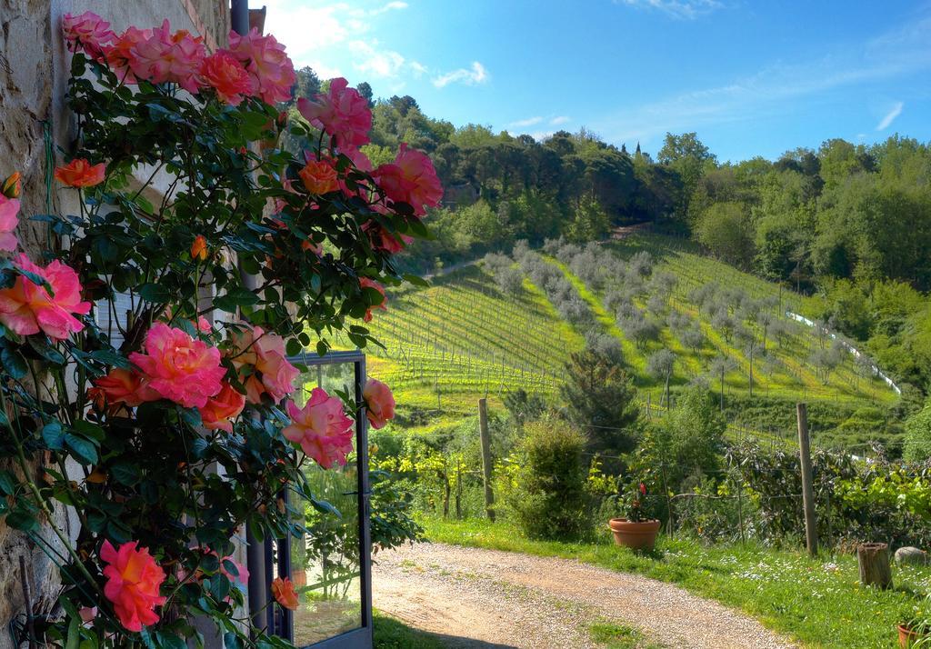 Agriturismo Poggio All'Olmo Villa เกรเว อิน เคียนตี ภายนอก รูปภาพ