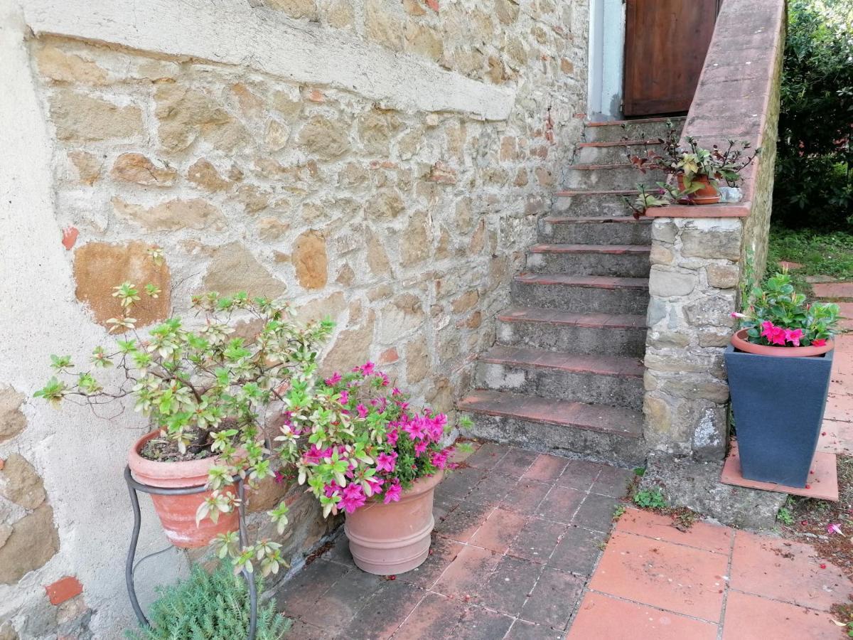 Agriturismo Poggio All'Olmo Villa เกรเว อิน เคียนตี ภายนอก รูปภาพ